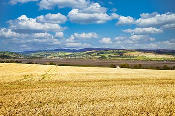 Schottische Landschaft