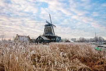 De windmolen De Rat bij IJlst in Friesland. Wout Kok One2expose Photography van Wout Kok