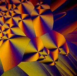  Vitamine-H = Biotin von André Wieringa