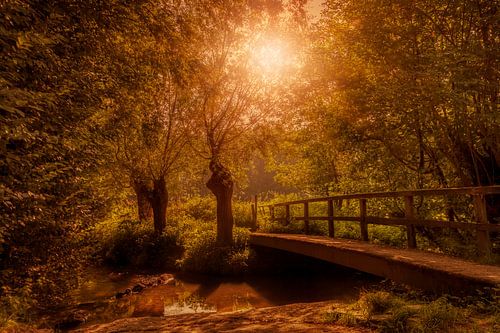 Herfstkleuren in Zuid-Limburg