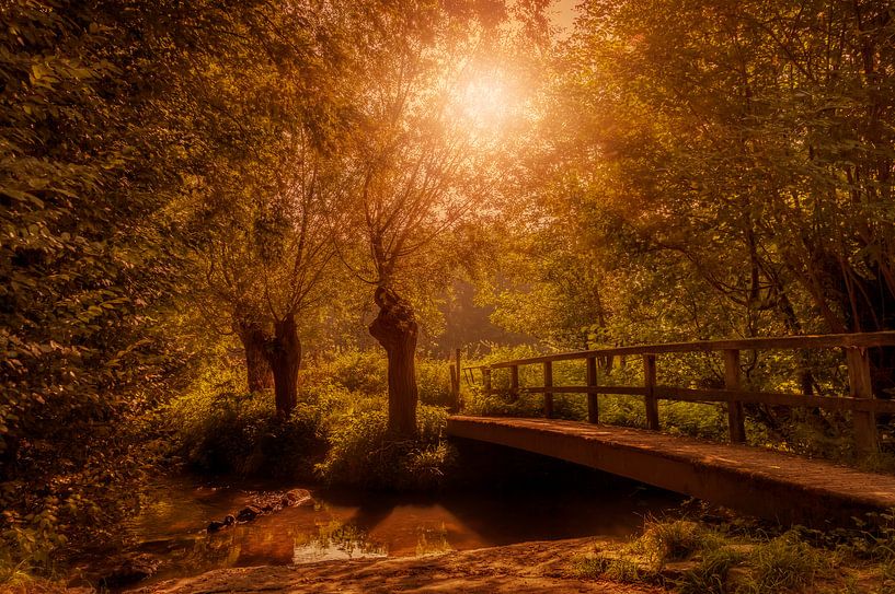 Herfstkleuren in Zuid-Limburg van John Kreukniet