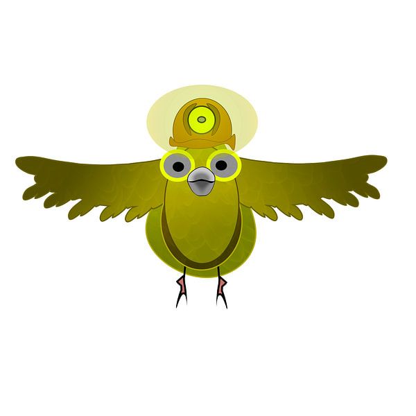 Kanarenkormoran von Grüntyers .