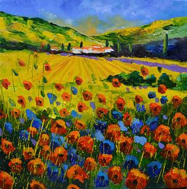 Mohnblumen in der Provence von pol ledent