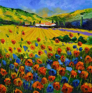 Mohnblumen in der Provence