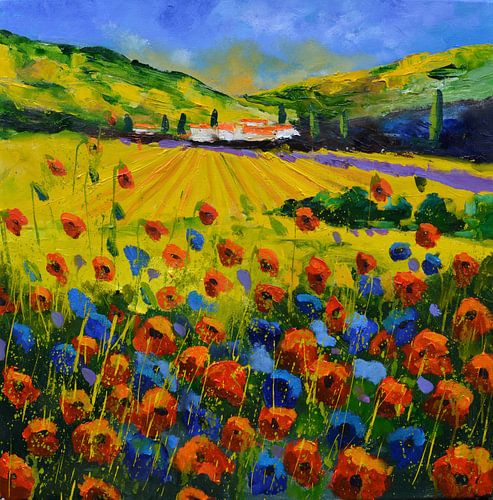 Klaprozen in de Provence