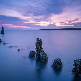 Wo die Zeit stillsteht von Sander Poppe