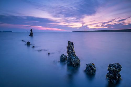 Wo die Zeit stillsteht von Sander Poppe