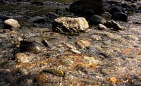 Flowing water
