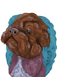 Lagotto Romagnolo, Hundeporträt