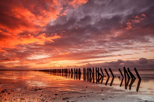 Zonsondergang Ternaard