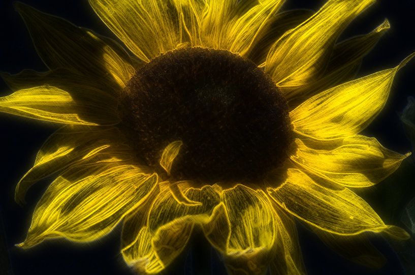 fragiles par Edgar Schermaul