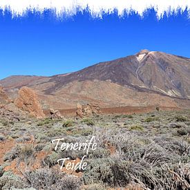 Tenerife sur hako photo