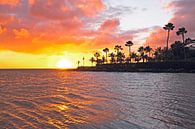 Tropische zonsondergang op Aruba in de caribbean van Eye on You thumbnail