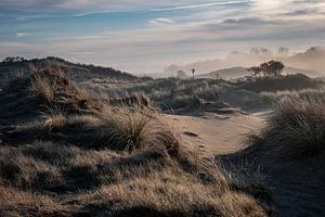 Amsterdam Wasserversorgung Dünen