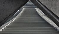 Onder de brug