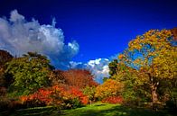 Herfstkleuren van Wouter Sikkema thumbnail