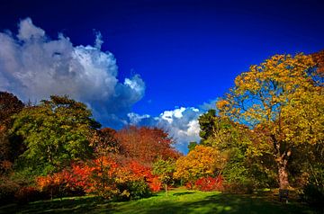Herbstfarben von Wouter Sikkema
