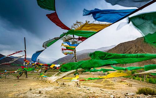 Prayer flags in the mountains of Tibet by Rietje Bulthuis