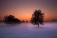 Wintry sunset