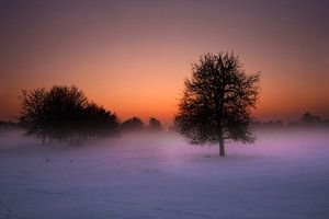 Winterlicher Sonnenuntergang von Eus Driessen