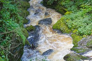 Tosendes Wasser in den Bergen
