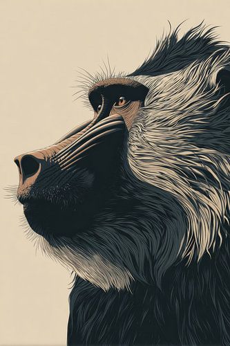 Baboons in Powerful Graphic Portraits