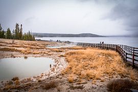 Yellowstone National Park by Nicole Geerinck