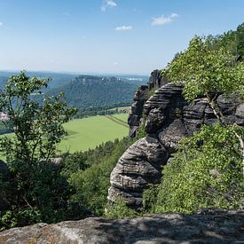 Trees and rocks on the Lilienstein by Adriana Müller