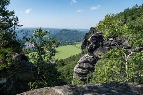 Bomen en rotsen op de Lilienstein
