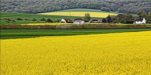 la campagne von Yvonne Blokland