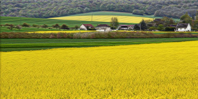 La Campagne by Yvonne Blokland