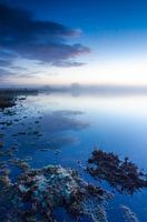 Strabrechtse Heide 139