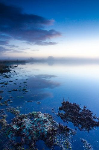 Strabrechtse Heide 139