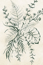 Botanische Illustratie van Varens en Bladeren van Art Prints