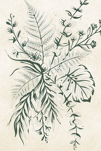 Botanical Illustrations of Ferns and Leaves