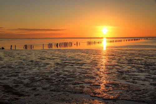 Dry mudflat with poles.