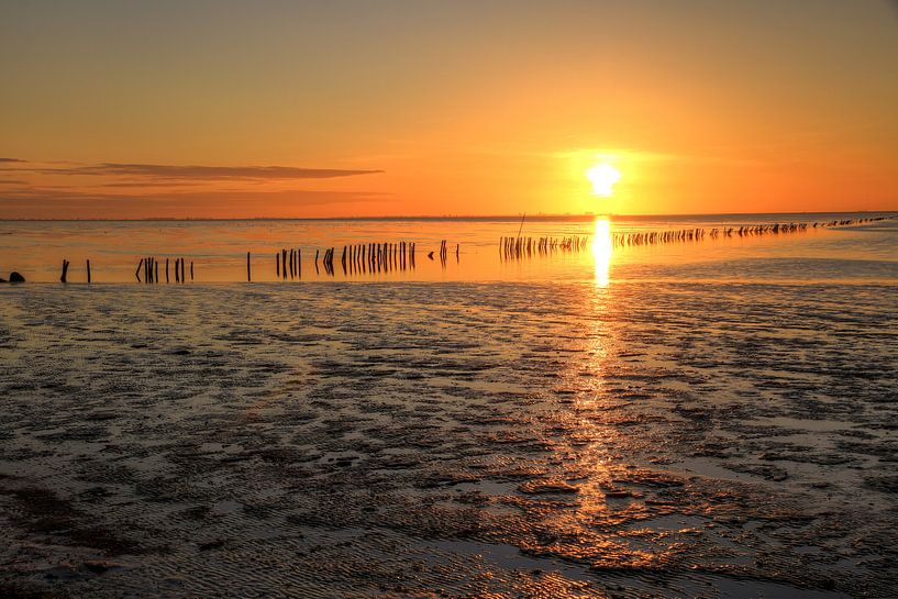 Dry mudflat with poles. by FotoBob