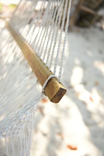 Hammock detail