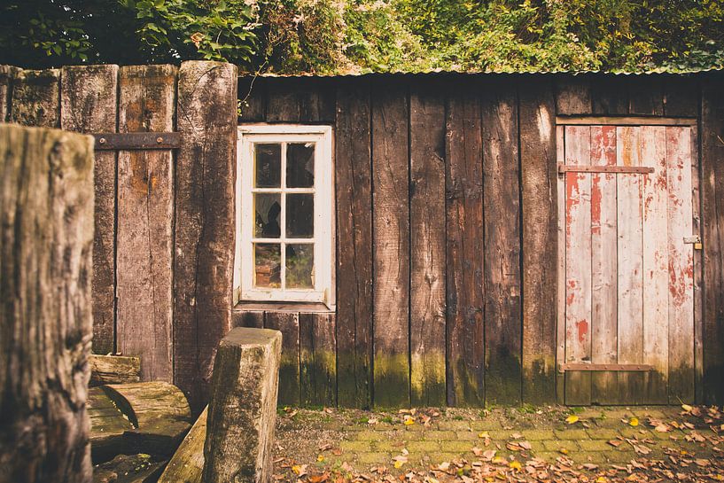 The Shed by Kees van der Rest