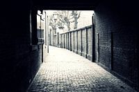 The city I live in