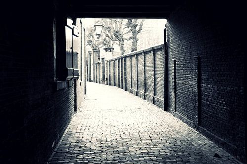 The city I live in by Lianne Vis