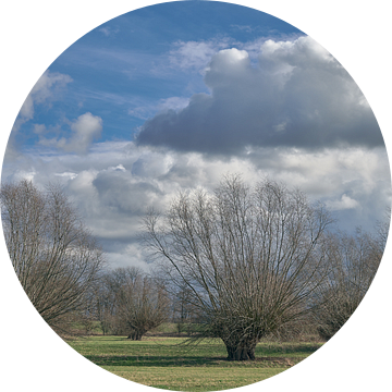 Februari in de Himmelgeister Rheinbogen