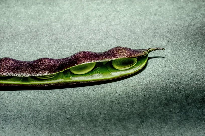 Beans by artpictures.de