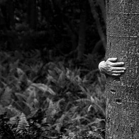 An einen Baum kuscheln von nahua photo