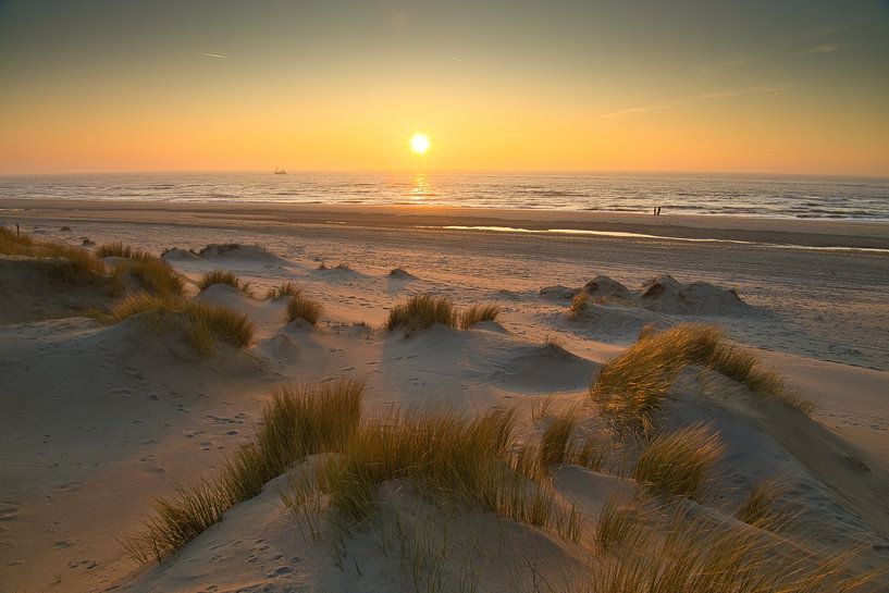 Hondsbossche sea dunes near Petten by peterheinspictures
