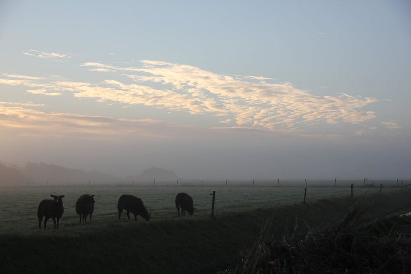 Texel Landschap 058 by Starworks:  LinaLena van der Star