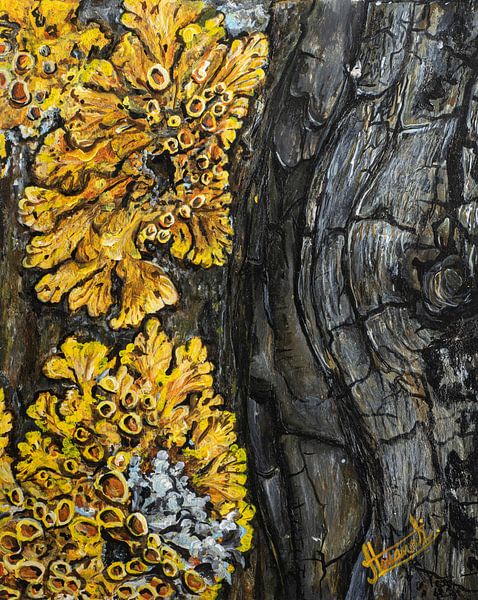 Écorce d'arbre avec mousse d'écorce par Henk Goossens