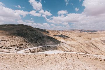 Desert road van Walljar