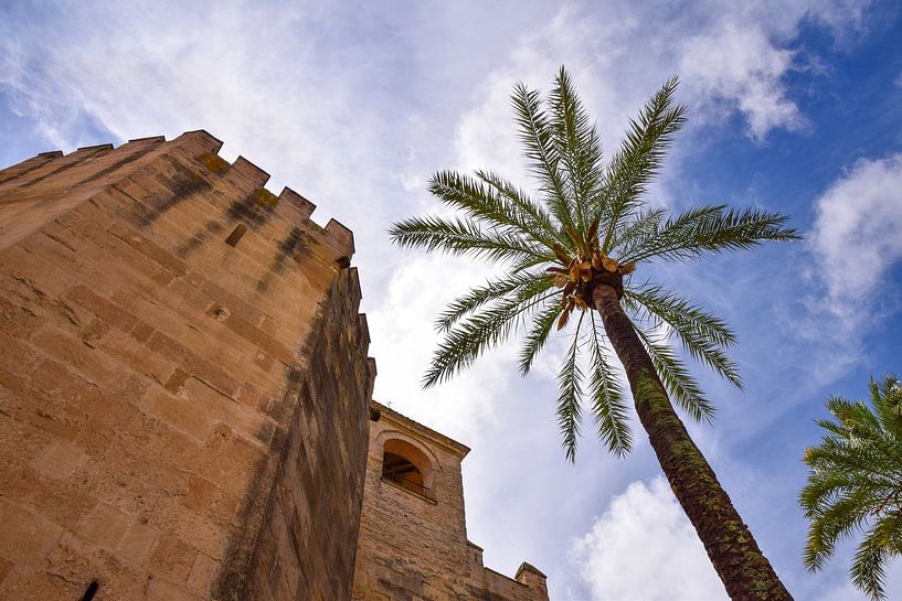 Córdoba, Spanje - II van Jarne Buttiens