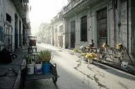 Havanna, Kuba im Morgengrauen. Typische Wohnstraße im Zentrum mit geparkten Autos und sehr wenig Ver von Tjeerd Kruse Miniaturansicht